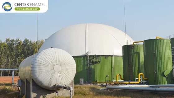 Порцелановая эмалированная краска Анаэробный переваривающий резервуар для процесса возобновляемой энергии