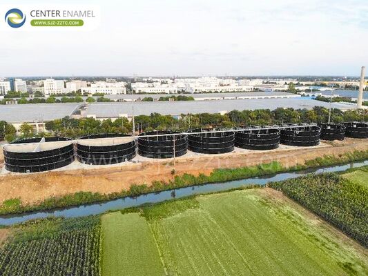 Устойчивые биогазовые технологии для Малайзии Проекты очистки сточных вод свиноводческих ферм