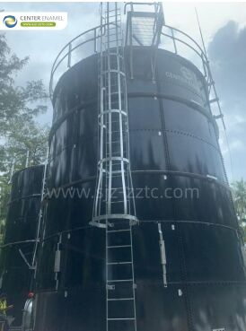 Продвинутые анаэробные технологии для Вьетнамских проектов по биогазу Pennisetum Purpureum