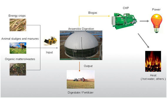 EPC Проект USR/CSTR Биогаз Анаэробная ферментация Биогаз Резервуар для хранения Отходы для производства энергии Завод 1