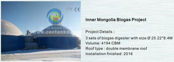 Система хранения биогаза для решений под ключ в проектах биоэнергетики 0